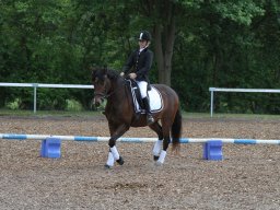 IMG_4804_web